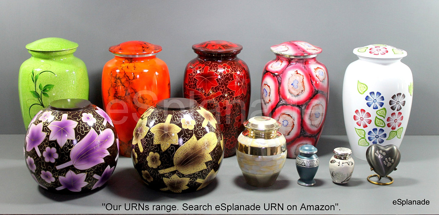 eSplanade cat Dog pet Cremation Mini Heart urn Keepsake Memorial | Small urn for Ashes Funeral Burial