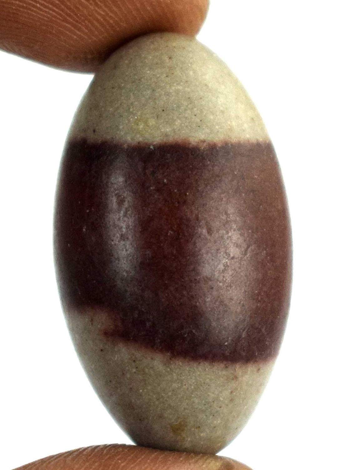 eSplanade Narmada Stone Narmadeshwar Shiv ling | Shiva Lingam | Indian God Idols & Statues (1 Inch)