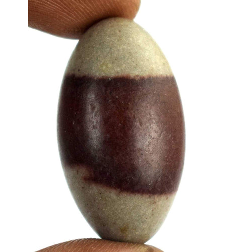 eSplanade Narmada Stone Narmadeshwar Shiv ling | Shiva Lingam | Indian God Idols & Statues- All Sizes