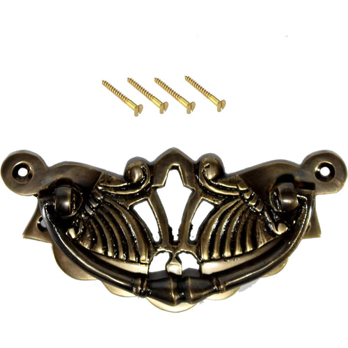 eSplanade Brass Drawer Pull, Wardrobe Door Knob Wardrobe Drawer Shell Pull/Handle