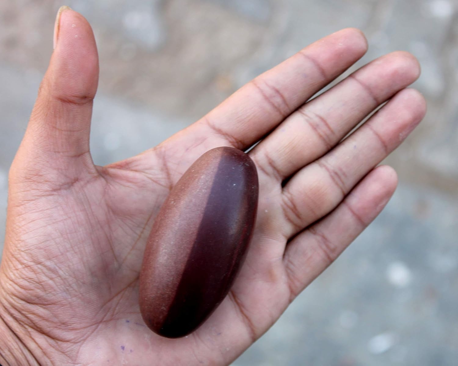 eSplanade Narmada Stone Narmadeshwar Shiv ling | Shiva Lingam | Indian God Idols & Statues- All Sizes