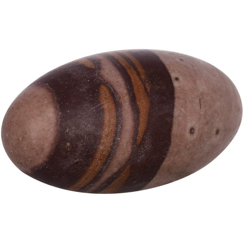 eSplanade Narmada Stone Narmadeshwar Shivling, Shiva Lingam Indian God Idols & figurine (6 Inch BIG SIZE)