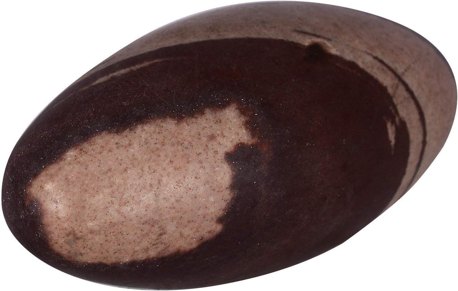 eSplanade Narmada Stone Narmadeshwar Shiv ling | Shiva Lingam | Indian God Idols & Statues- All Sizes