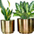 eSplanade Metal Flowerpot for Living Room Bedroom Garden Tabletop Planter