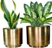 eSplanade Metal Flowerpot for Living Room Bedroom Garden Tabletop Planter