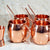 eSplanade Moscow Mule Cocktail Copper Mugs - Set of 4 Mugs, 4 Copper Straws, and a Peg Measurer (HAMMERED BRASS HANDLE)