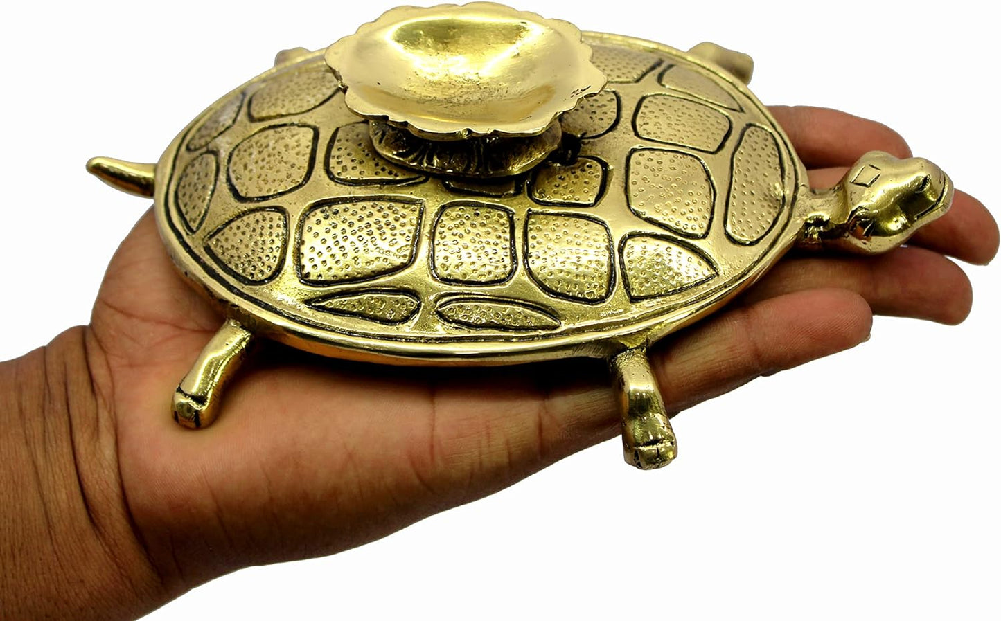 ESPLANADE Brass Tortoise Turtle Figurine Shankh/Conch Holder | Home Decor | 7.5" Inches