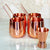 eSplanade Moscow Mule Cocktail Copper Mugs - Set of 4 Mugs, 4 Copper Straws, and a Peg Measurer