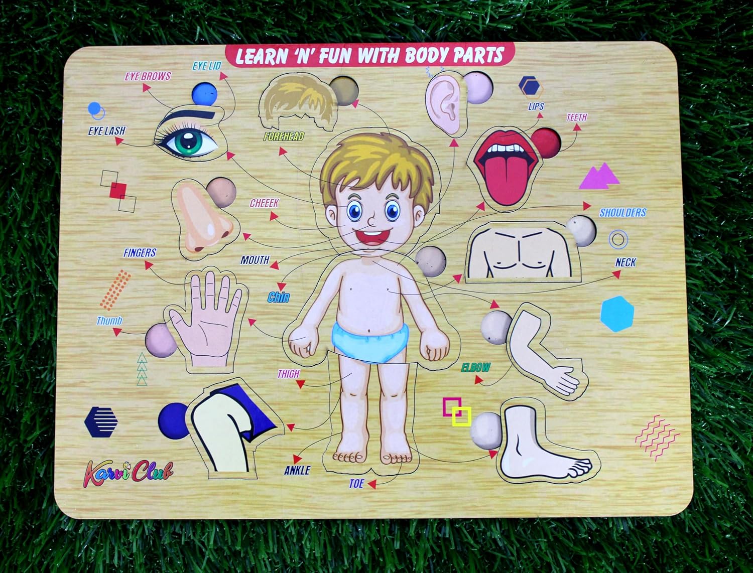 StonKraft Wooden Body Parts | Preschool Learning Board Puzzle for Kids Infants Toddlers - 11 Pieces - Multicolor- 12" x 9" Inches