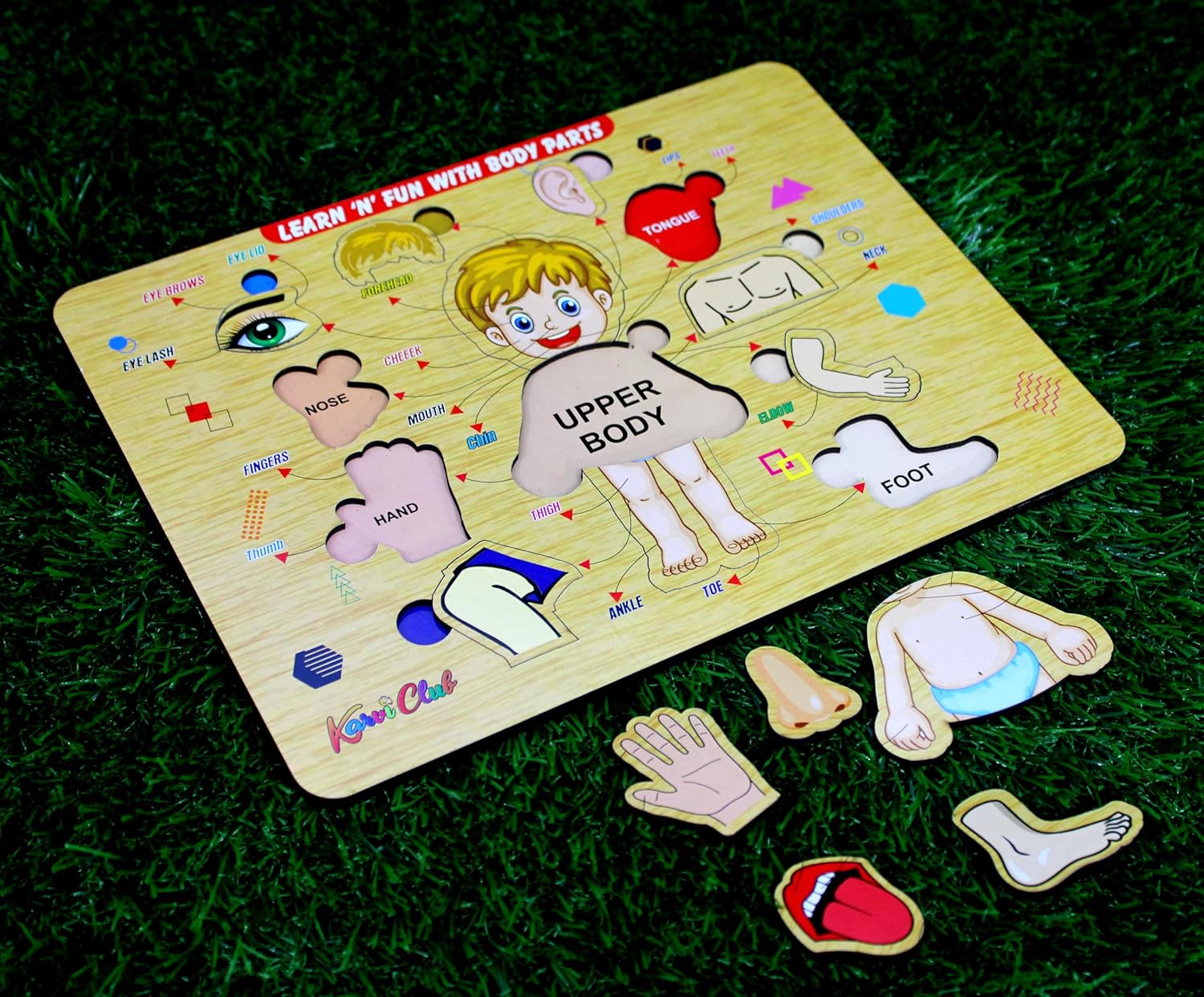 StonKraft Wooden Body Parts | Preschool Learning Board Puzzle for Kids Infants Toddlers - 11 Pieces - Multicolor- 12" x 9" Inches