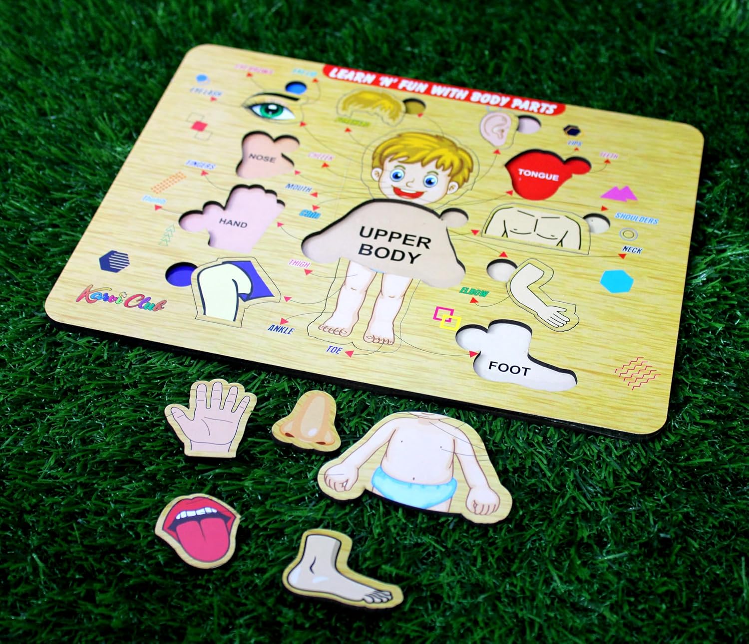 StonKraft Wooden Body Parts | Preschool Learning Board Puzzle for Kids Infants Toddlers - 11 Pieces - Multicolor- 12" x 9" Inches