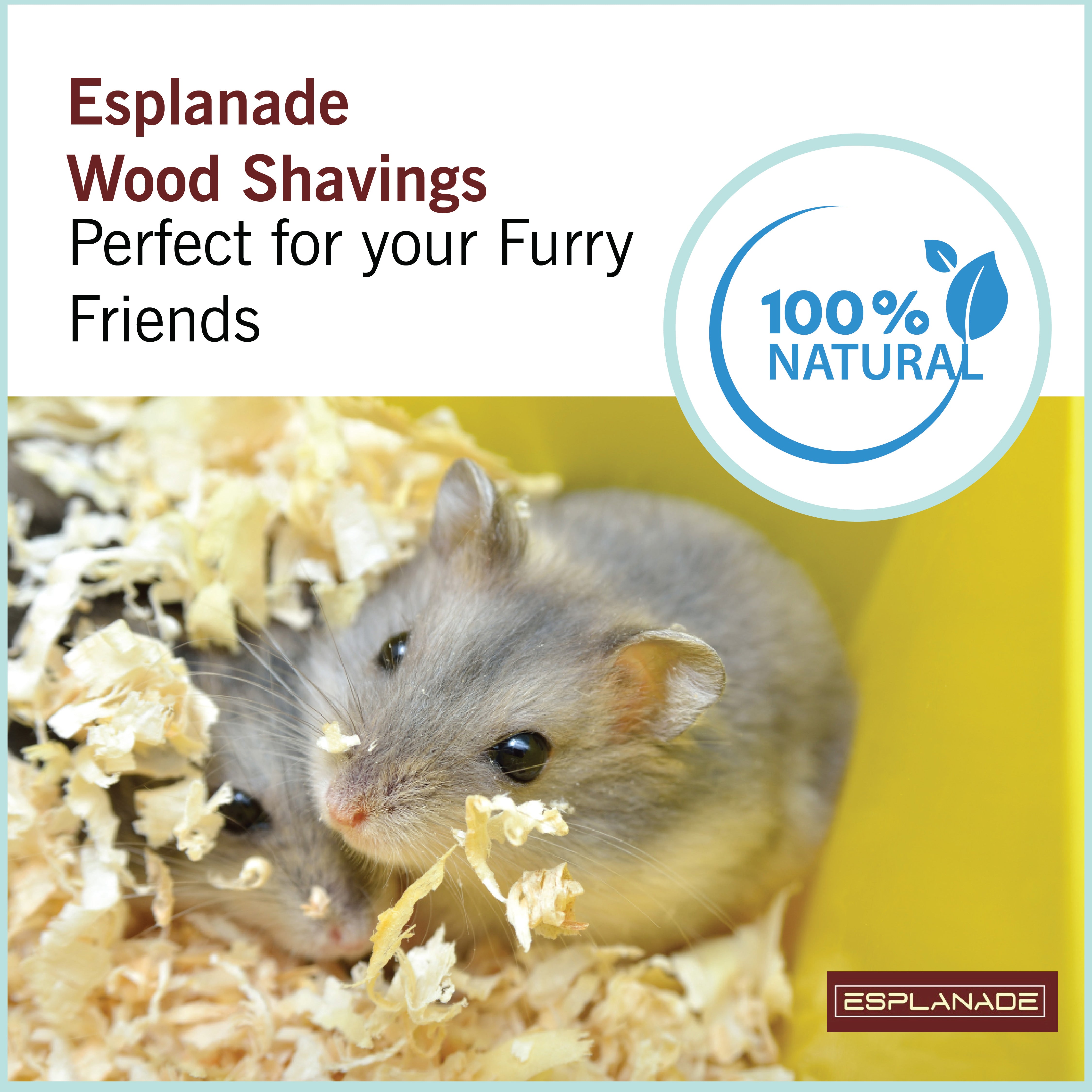 Esplanade Wood Shavings - Natural Soft Bedding for Birds, Guinea Pigs, Hamsters, Cosy Nesting Material - Odor-Control Pet Wood Flakes, Packing Material, Craft DIY